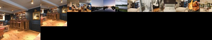 The Swan on the River