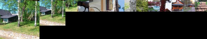 Usadba on Parkovaya 2