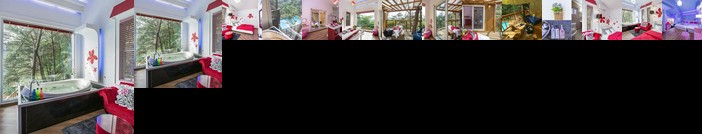 Hoengseong Forest Lover's Star Pension