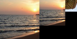 Gangahwa Forest Morning Pension