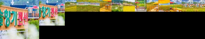 Suncheon Pine Fragrance Pension