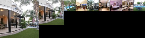 Cycad Palm Boutique Guest House