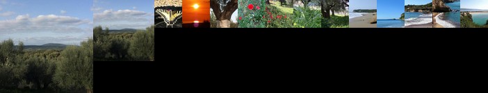 Hakuna Matata Holidays Calida with pool in Greek Olive Grove