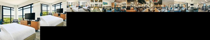 The Draftsman Autograph Collection