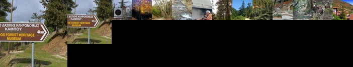 Saint Nicholas heights