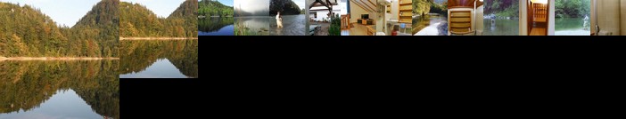 Ferienwohnung Karin Humer