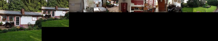 Ferienhaus zum Vogelnest