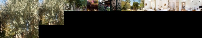 Amazing View At Fokionos