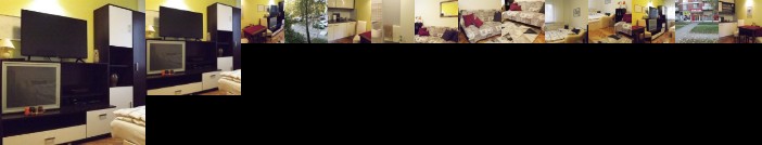 Studio Apartment Vijenac