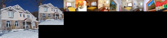 Pension Himawari Iizuna