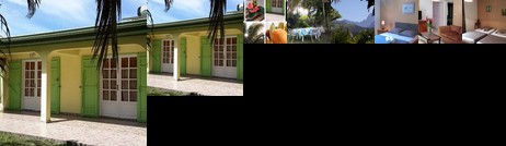 La Villa des Palmes Saint-Pierre