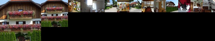 Fruhstuckspension Haus Brenner