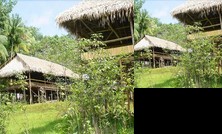 Tariri Amazon Lodge