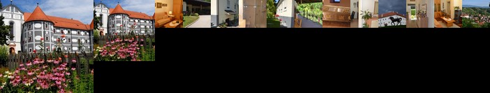 Apartman u Vili Lenka