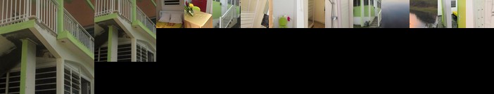 Tropic Arth Paradise