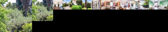 Gli Ulivi San Pietro Clarenza