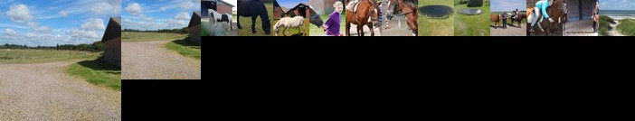 Ferienzimmervermietung Reitferien