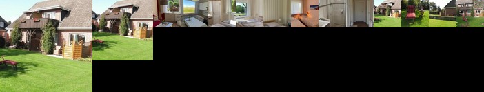 Haus-Seeschwalbe Nieblum