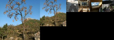 Peace Guesthouse Tianjin