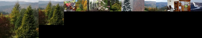 Apartament w Kozubniku z widokiem na gory