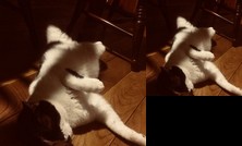 Noka Minshuku Sanzen