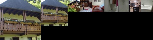 Haus am Bach Freiburg im Breisgau