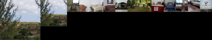 Cynson Villa Holiday Accommodations