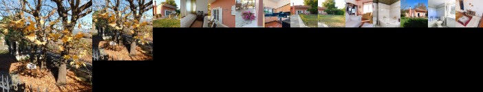 Villa Aris West Greece