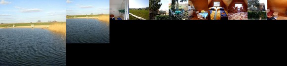 Ferienwohnung Laerz SEE 7311