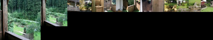 Apartamenty u Sikory