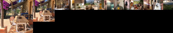 The Oasis at Far Out Inn