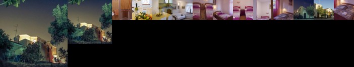 Apartments Villa Visnja