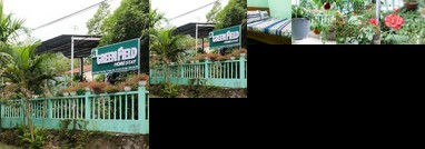 Green Field Homestay