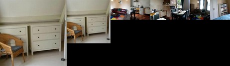 De Gouden Leeuw Bad Nieuweschans