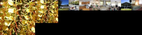 Volcano Cottage Volcano