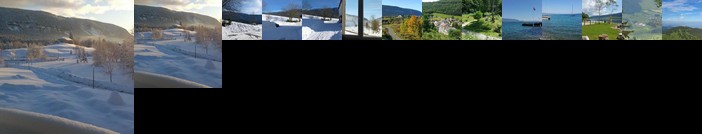 Les chamois de la Combe en haut