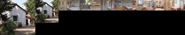 Borostyan 20 Vendeghaz