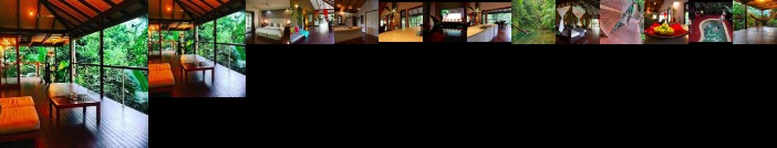 Treetops Retreat Cairns