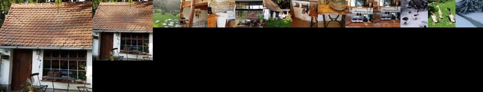 Wohnen im Huhnerhaus