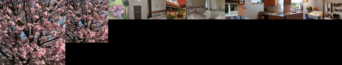 Schuttorf Hotels 8 Cheap Schuttorf Hotel Deals Germany