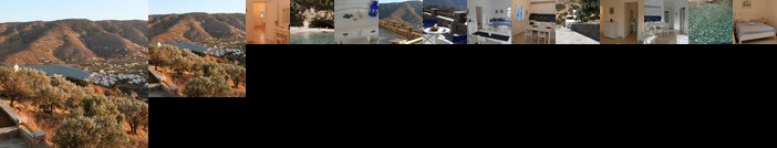 Villa Gabriela Andros Island