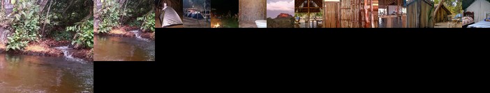 Refugio do Raiz Camping