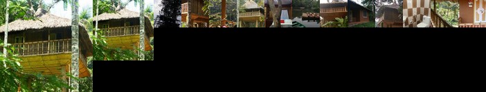 Kalidasa Tree House and villa