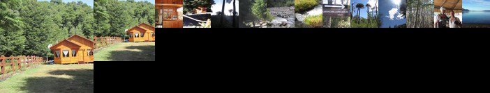 Cabana en Conaripe Sector Termas Geometricas