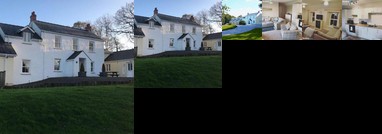 Daffodil Apartment St Florence