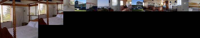 The Love Shack - Bridport