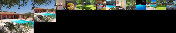 Les Lezards au Soleil