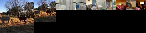 Muswellbrook Northside B&B