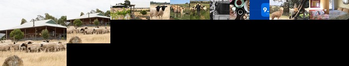 Gilgraves Vineyard Farmstay