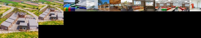 See And Tree Pension